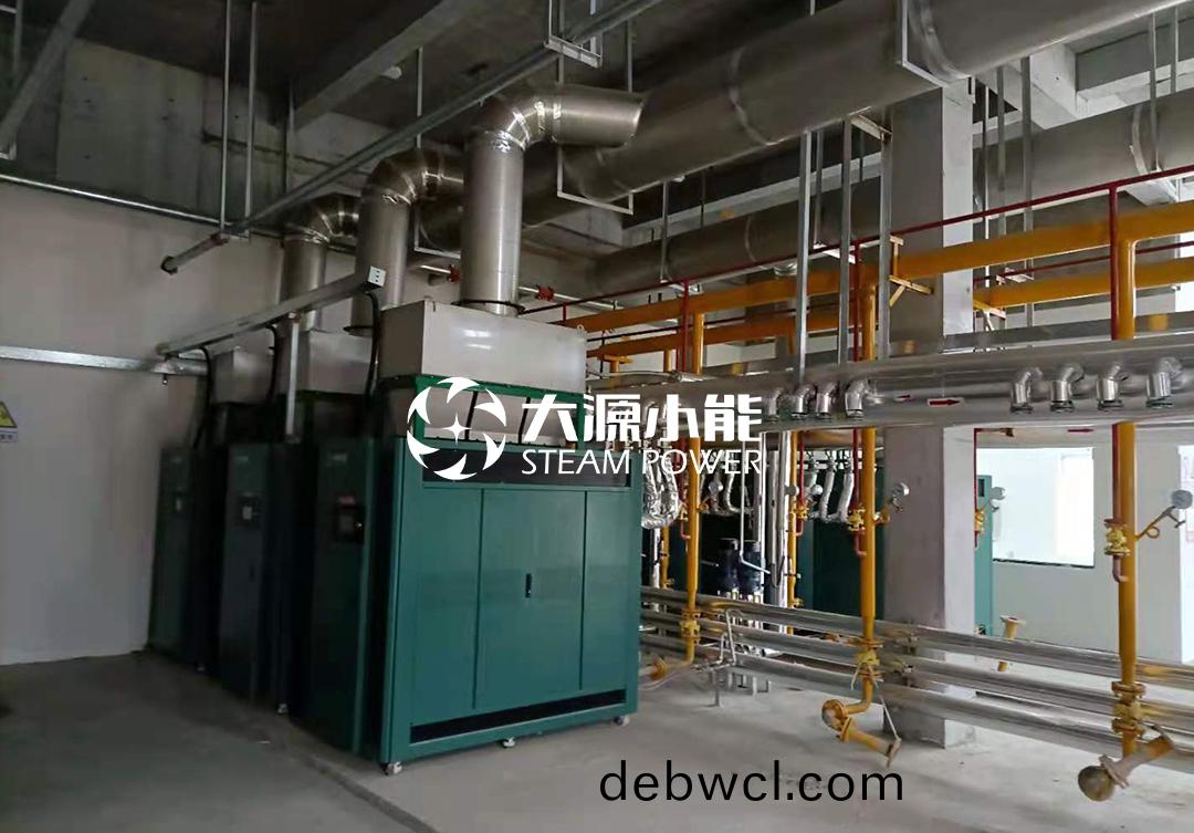 河(he)南駐馬(ma)店某屠宰(zai)場蒸(zheng)汽(qi)能(neng)案例1