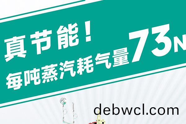 蒸(zheng)汽(qi)發(fā)(fa)生器源(yuan)頭(tou)廠(chǎng)(chang)家(jia)直(zhi)銷(xiāo)哪家靠譜(pu)？